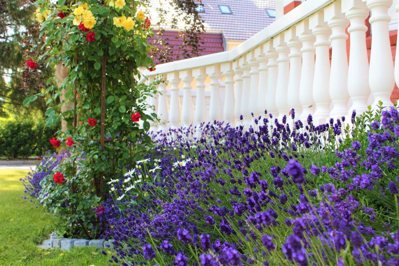 Rosen Villa Kappeln Zewnętrze zdjęcie